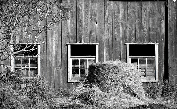 County Barnyard