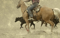Rodeo Dust