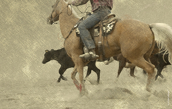 Rodeo Dust
