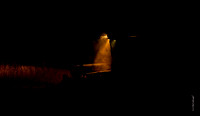 Night Harvest 29.1