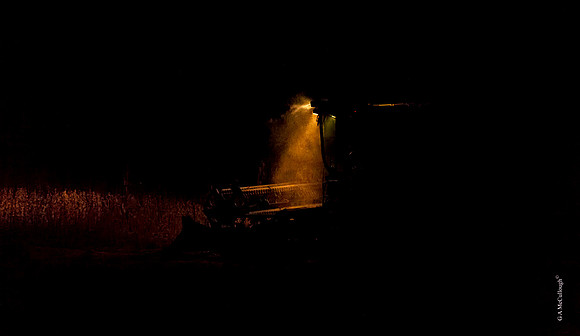 Night Harvest 29.1