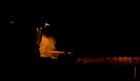 Night Harvest   16.4