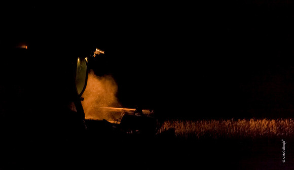 Night Harvest   16.4