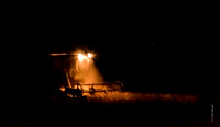 Night Harvest    7.6