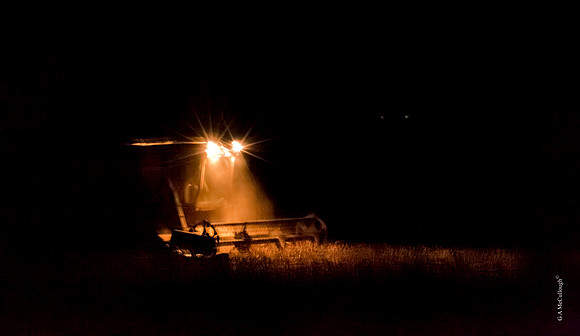 Night Harvest    7.6