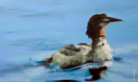 Merganser