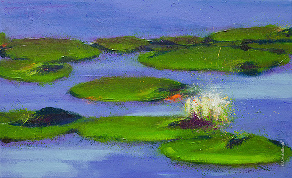 Lily Pads