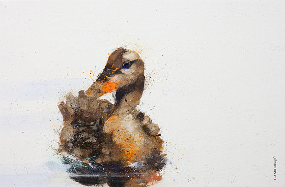 Duck  14B