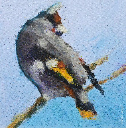 Waxwing Redux