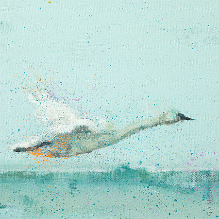 Winter Flight