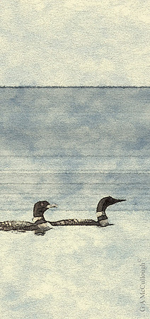 Loons