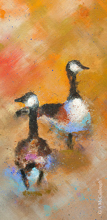 Springtime Geese