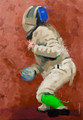 Fencing