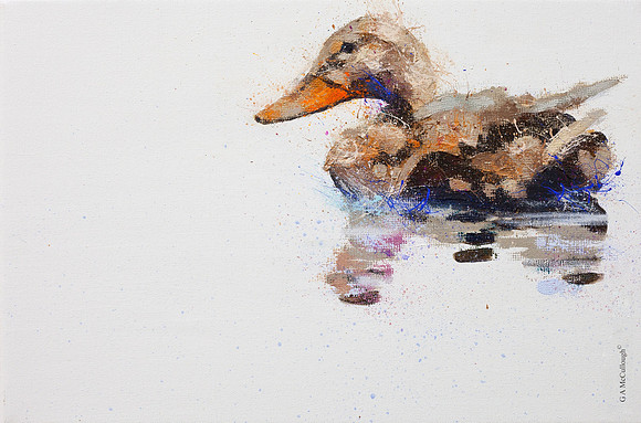 Duck 19A