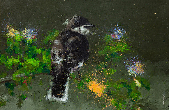 Oiseau