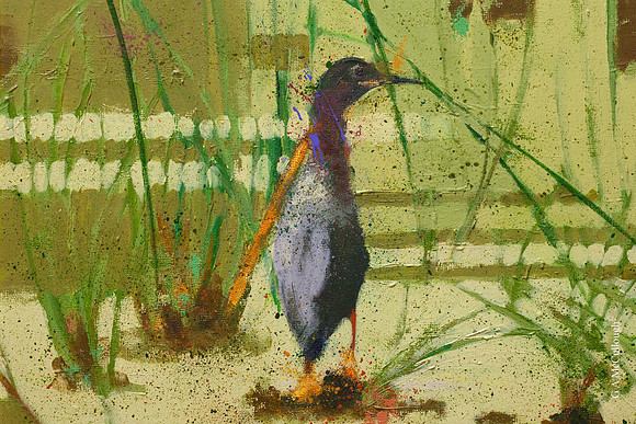 Among The Reeds